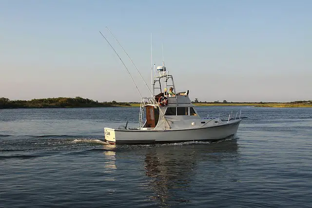 Enjoy Fishing to the Fullest! A Complete Guide to Fishing Gear for Beginners and Experts